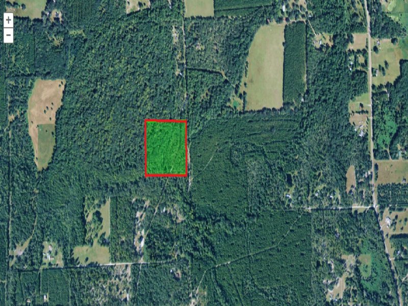 15.43 Acres with Creek a-474 : Gainesville : Alachua County : Florida