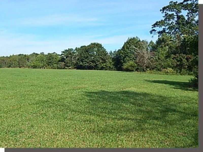 120.00 Acres Cattle Farm Land Farm for Sale in Poplarville, Pearl