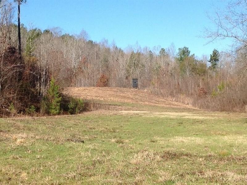 Valley Creek Tract : Valley Grande : Dallas County : Alabama