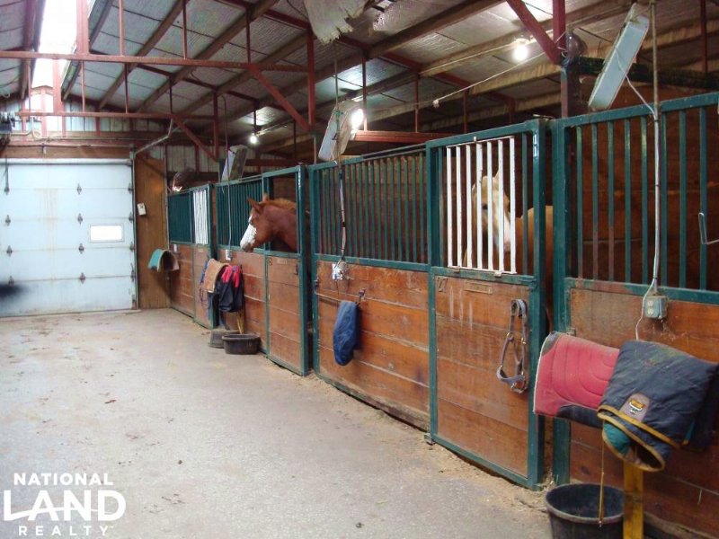 Pine Ridge Stables : Ashland : Saunders County : Nebraska