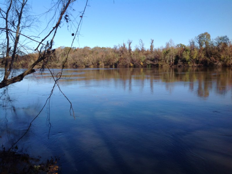 210 Acres Along Alabama River Farm for Sale in Selma, Dallas County
