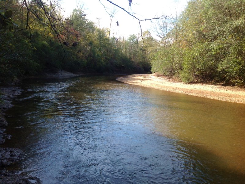 60 Acres On Mulberry Creek : Maplesville : Chilton County : Alabama