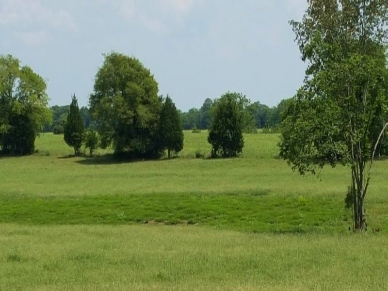 Nice Ranch Property : Demopolis : Marengo County : Alabama