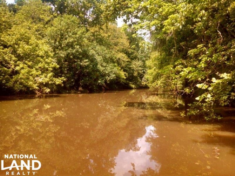 Pintlala Creek Frontage, Farm for Sale in Alabama, 101867 FARMFLIP