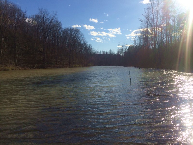 Lake Blalock Tract, Farm for Sale in South Carolina, 101880 FARMFLIP