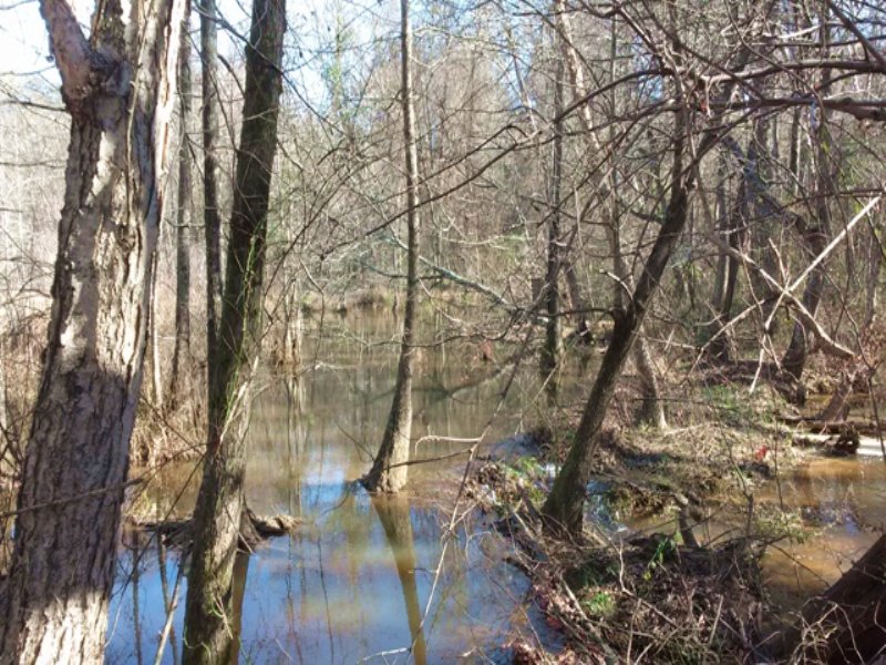 Tobesofkee Oaks : Macon : Bibb County : Georgia