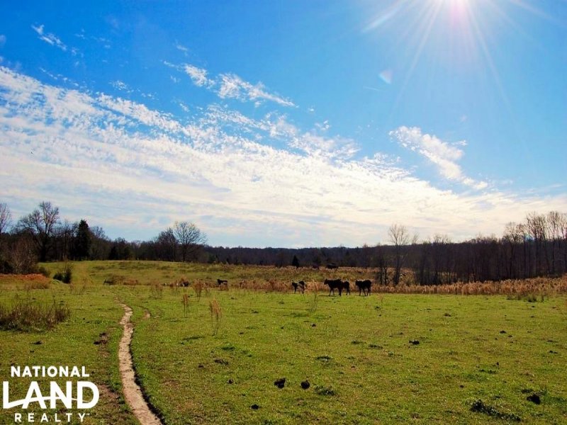 Hwy 49 Recreational Farmland, Farm for Sale in South Carolina, 102067 FARMFLIP