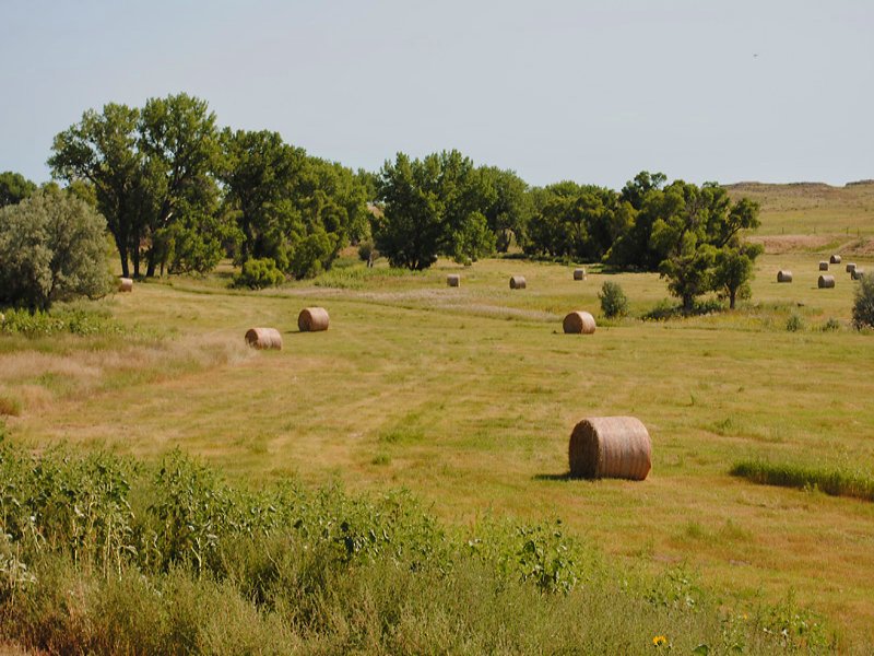 Two Creek Ranch Farm for Sale in Jay Em, Goshen County, Wyoming