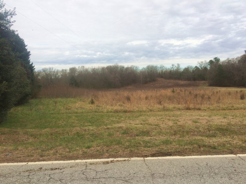 Mckelvey Road Tract, Farm for Sale in South Carolina, 102860 FARMFLIP