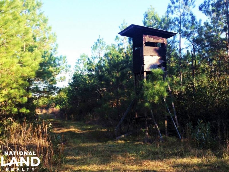 Loris Hunting Land, Farm for Sale in South Carolina, 102953 FARMFLIP