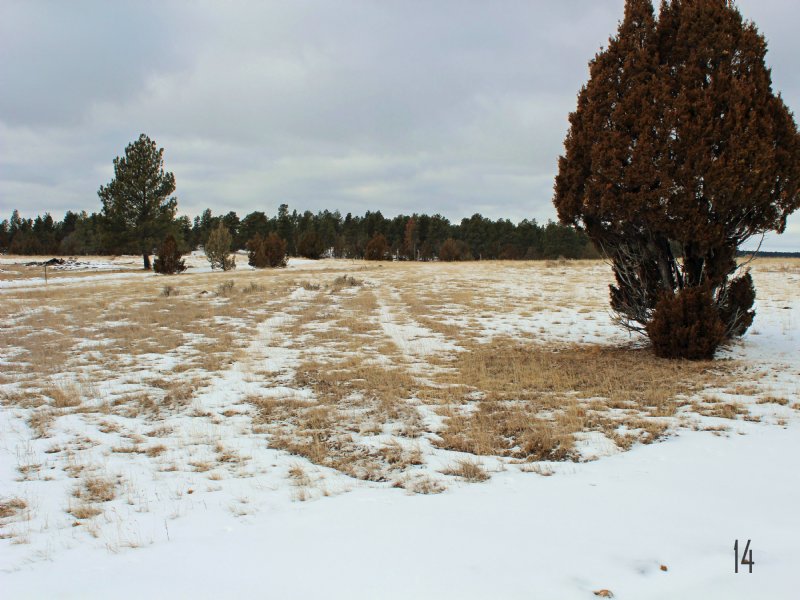 Tract 14 Hartland Ranches, Farm for Sale in Wyoming, 103092 FARMFLIP