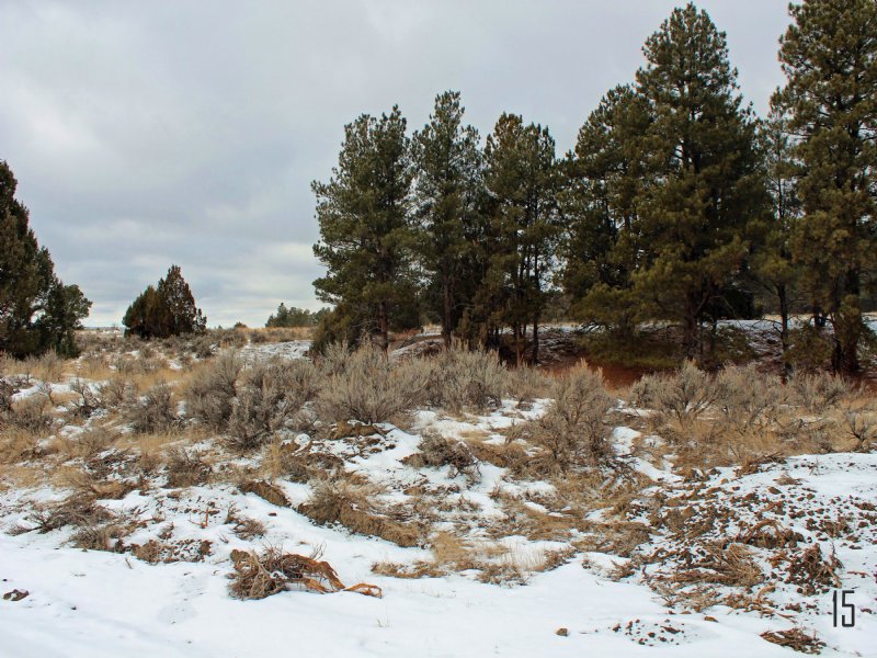 Tract 15 Hartland Ranches, Farm for Sale in Wyoming, 103095 FARMFLIP