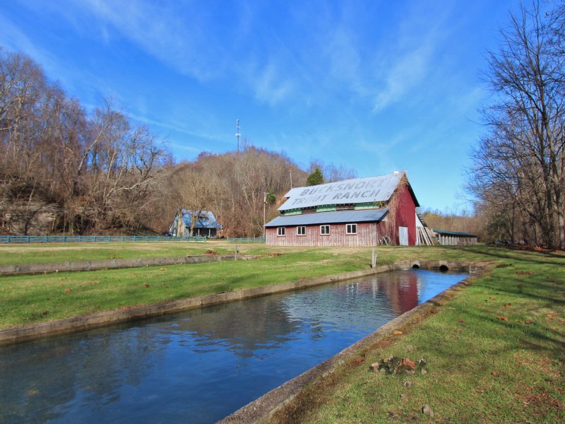 Bucksnort Trout Farm, Farm for Sale in Tennessee, 103796 FARMFLIP