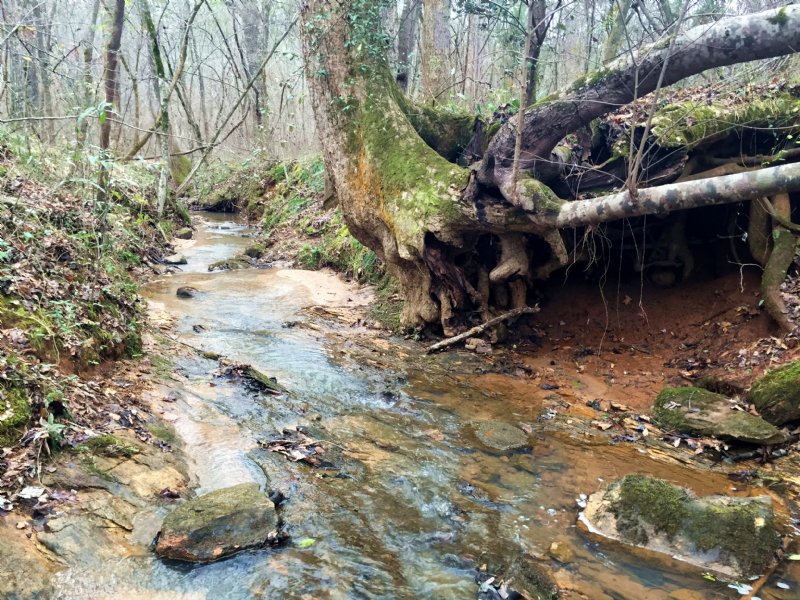 Perfect Mix Of Timber with Creek : Forsyth : Monroe County : Georgia