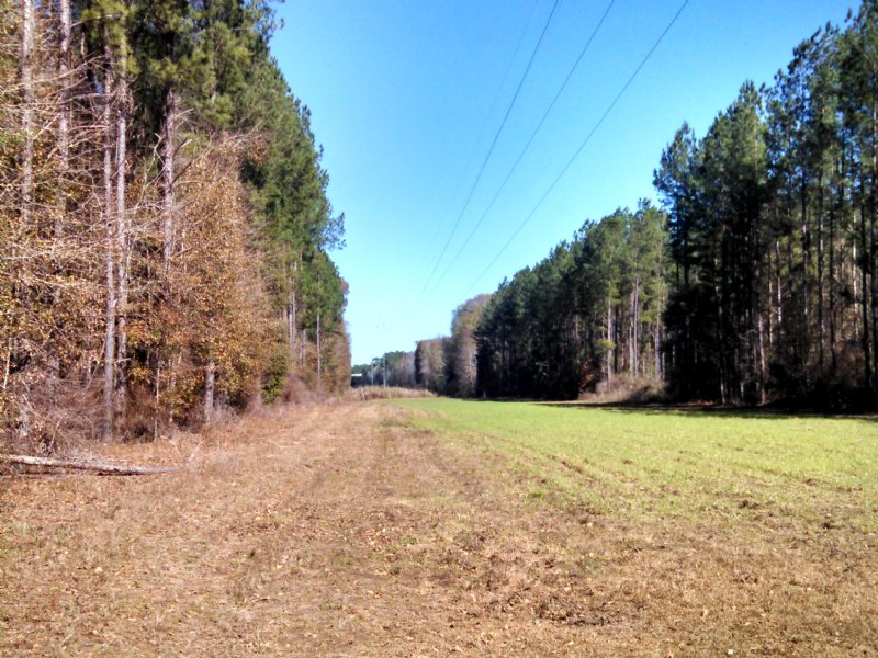 Hollis Farms Tract, Farm for Sale in 103963 FARMFLIP