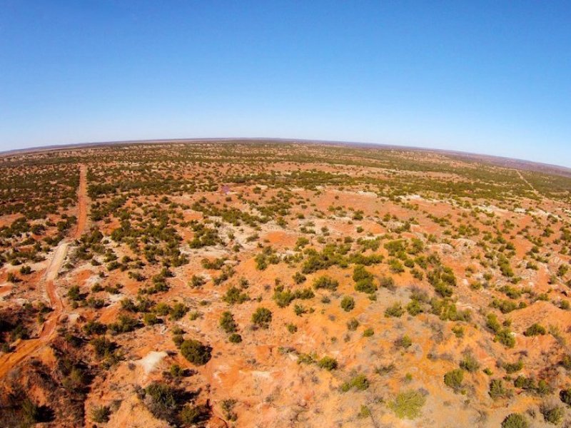19.26 Acre Red Rock Ranch : Crowell : Anderson County : Texas