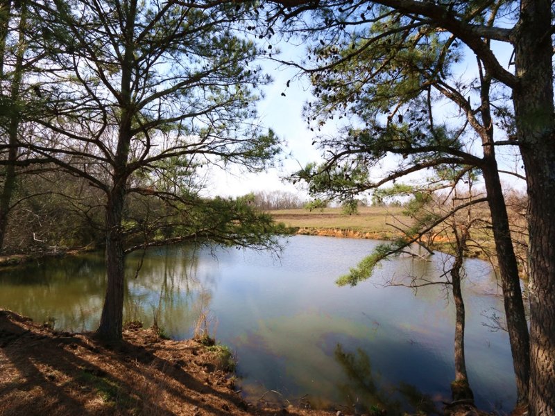 Mulberry River, Pond, & Pasture, Farm for Sale in Alabama, 104772