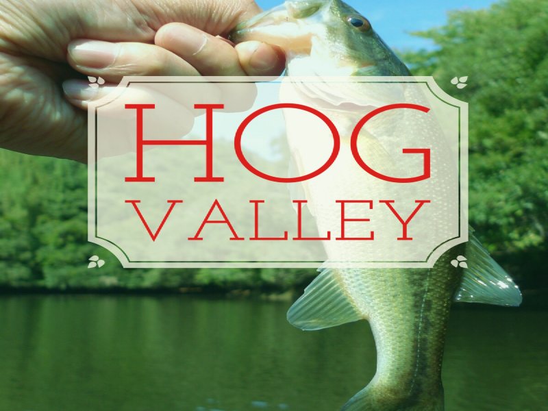 Hog Valley .18 Acre Lot, Ocala Natl Farm for Sale by Owner in Hog