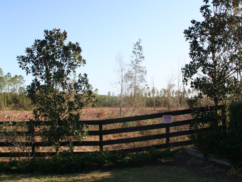 9.9 Acres, Tupelo Plantation : Callahan : Nassau County : Florida