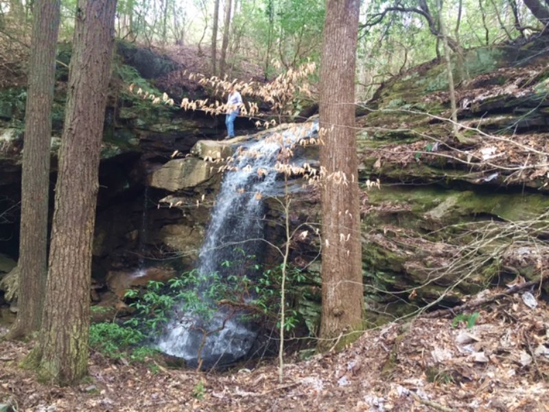290.9+/- Acres with 6 Waterfalls : Whitwell : Marion County : Tennessee