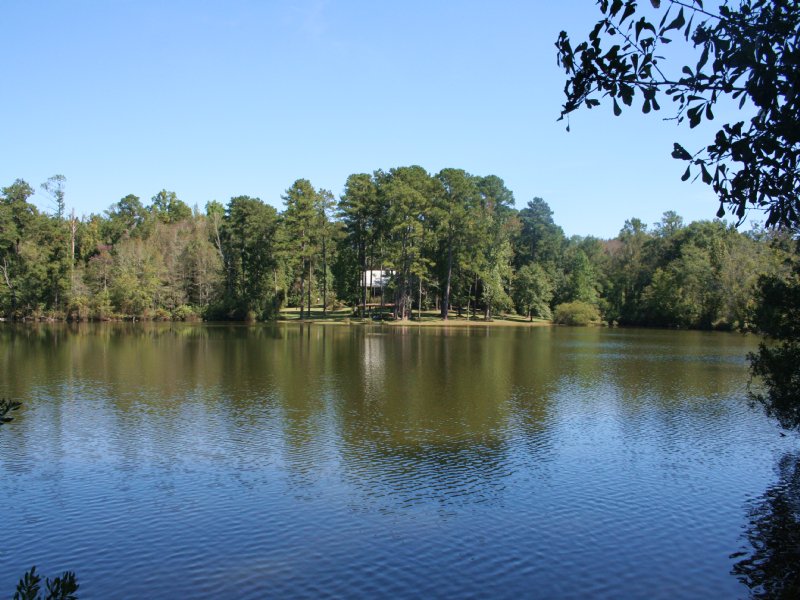 Turkey Creek Farms : Fort Valley : Peach County : Georgia