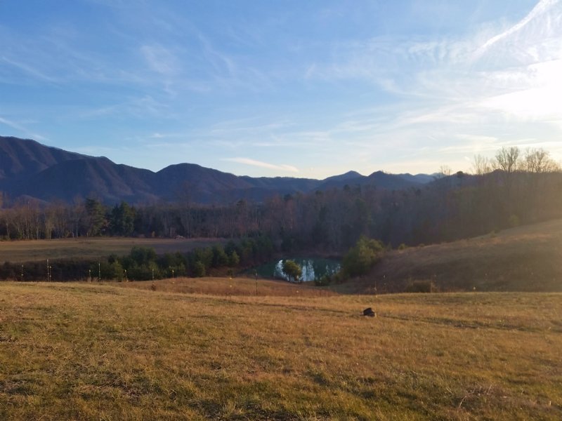 20+ Acres with Smoky Mountain View, Farm for Sale in Tennessee, 105261