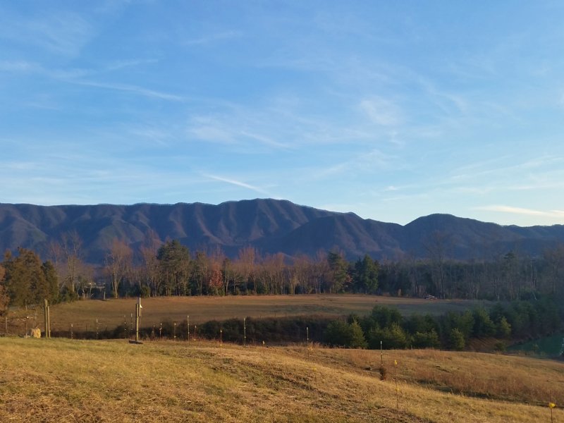 5.40 Acres Level Unrestricted : Greeneville : Greene County : Tennessee