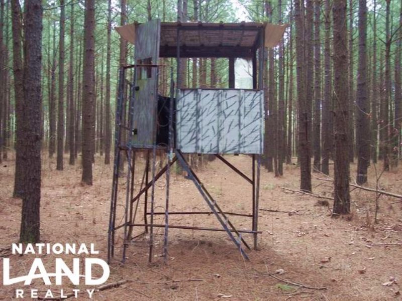 207 Acres Hunting and Timberland : Augusta : Woodruff County : Arkansas