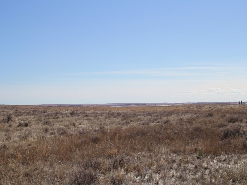 Galeton 70 Acres, Farm for Sale in Colorado, 105699 FARMFLIP