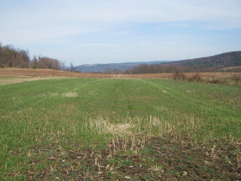 Tillable Farmland Organic 83 Acres, Farm for Sale in New York, 106182