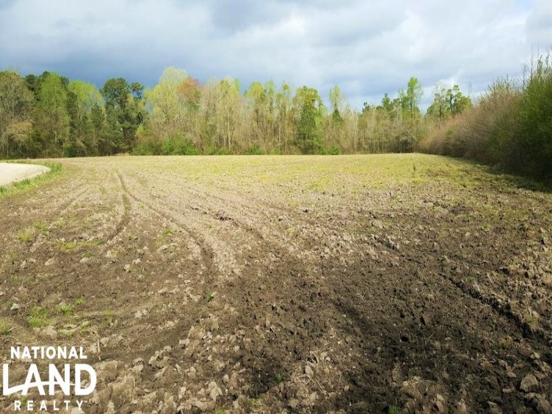 Pasture Or Row Crop Acreage, Farm for Sale in North Carolina, 106256