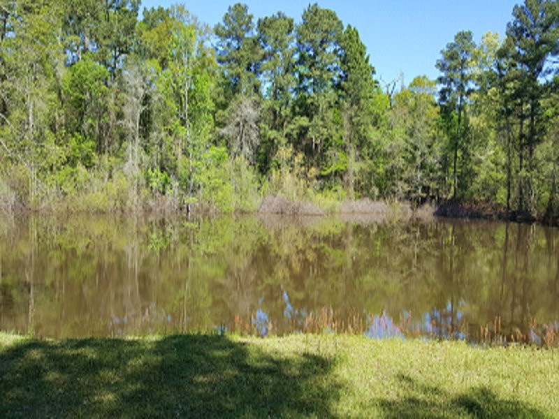 Beautiful Estate Lot with Pond : Fort Valley : Peach County : Georgia