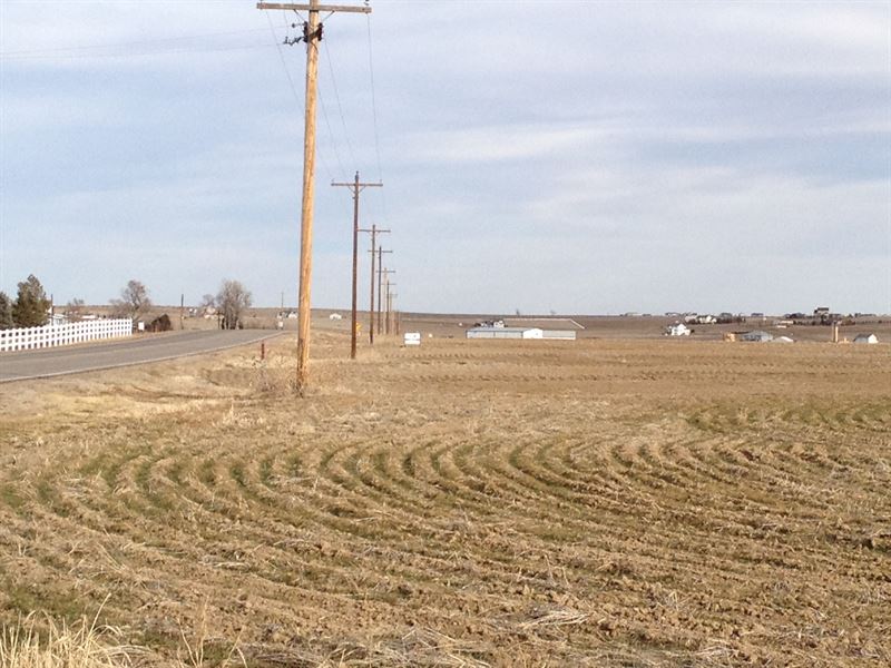 Brighton Farms Farm for Sale in Brighton, Adams County, Colorado