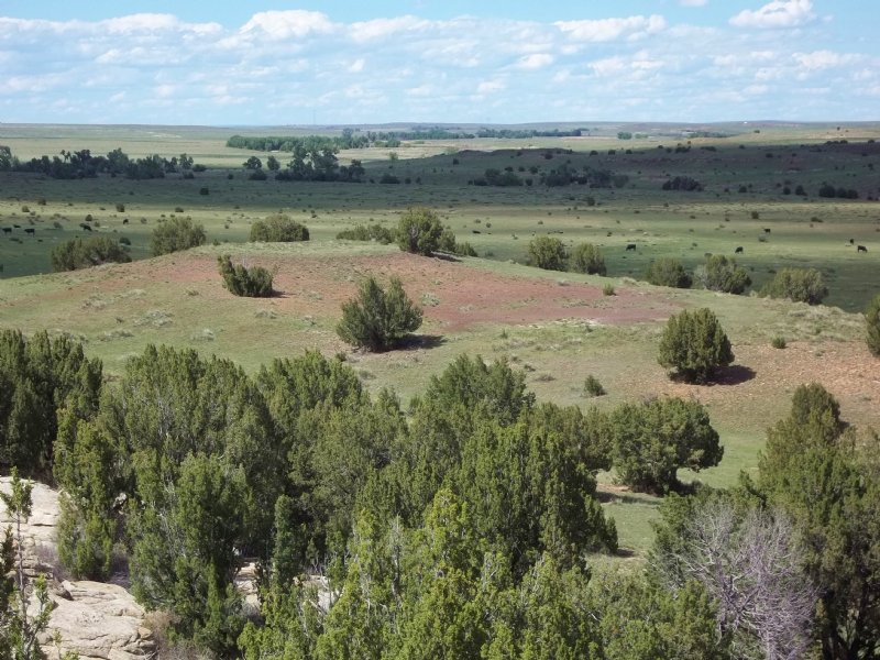 East Clay Creek Ranch : Lamar : Prowers County : Colorado