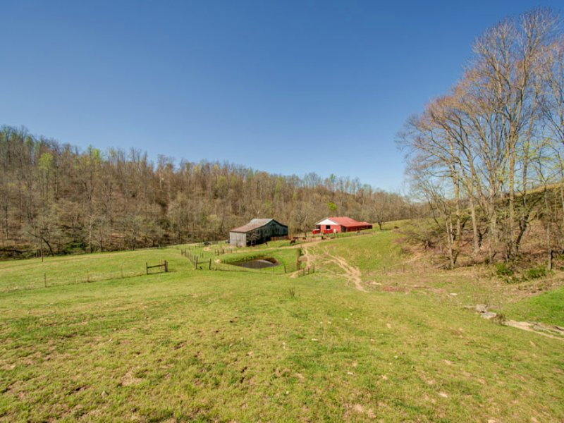 145 Acres On Dog Creek Farm for Sale in Primm Springs, Hickman County