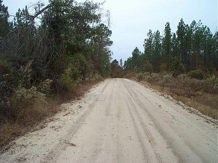 10.6 Acre Hunting Getaway : Summertown : Emanuel County : Georgia