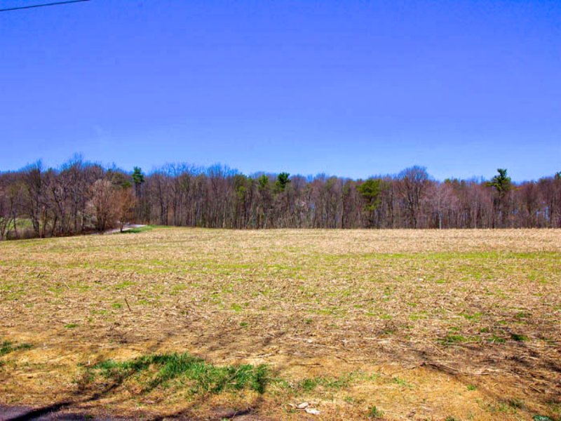 48+/ Acres Farm in Wapwallopen, Farm for Sale in Pennsylvania, 107345 FARMFLIP