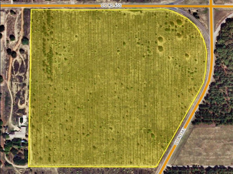 County Hwy 561 & County Hwy 455 : Clermont : Lake County : Florida
