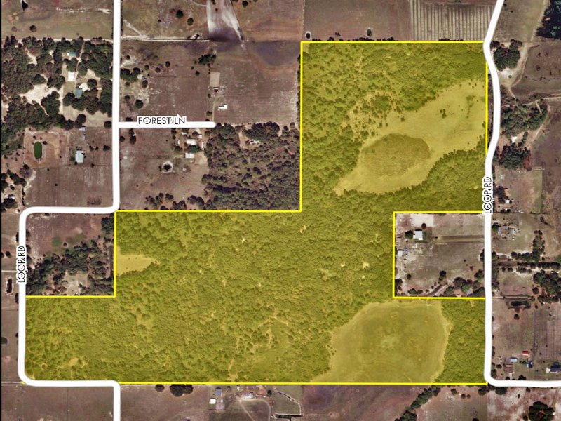 Lake County 120 Acres on Loop Road : Groveland : Lake County : Florida