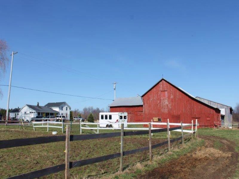 Horse Farm With Indoor Riding Arena Farm for Sale in Mexico, Oswego
