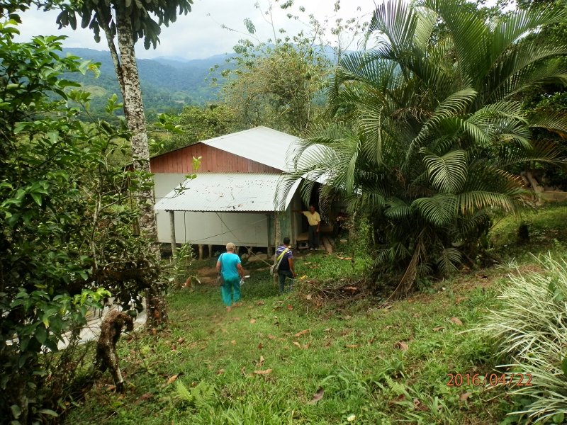 11 Ac MT Farm, House, Orchard : Pejibaye De Cartago : Costa Rica