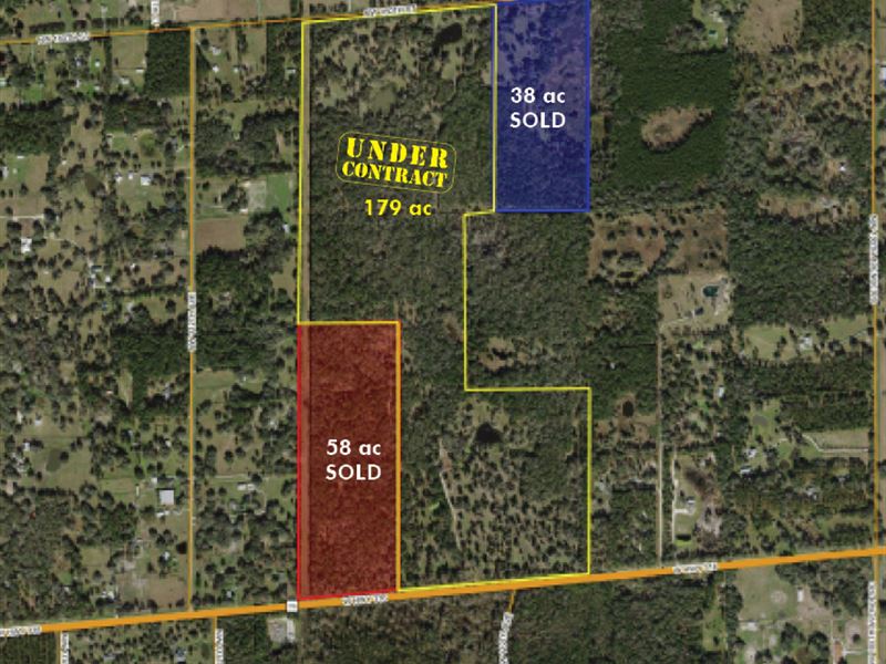 179 Acres Ag Land on CR 316 : Reddick : Marion County : Florida
