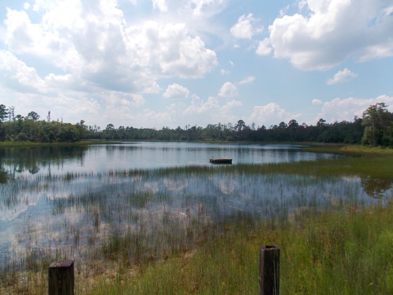 Cypress Lake Plantation : Pierson : Volusia County : Florida