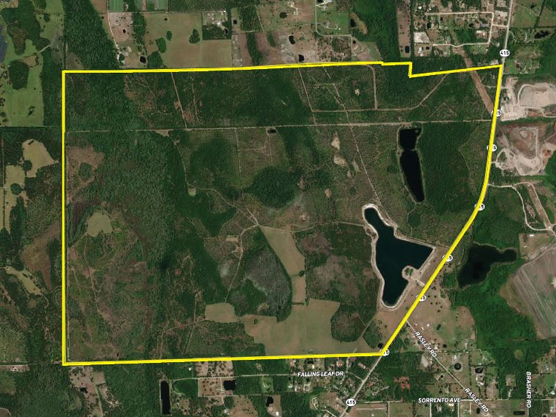 Prime Development Land : New Smyrna Beach : Volusia County : Florida