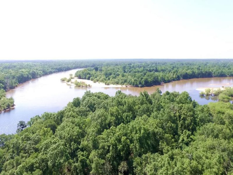 100 Ac Island On River Farm for Sale in Baxley, Appling County