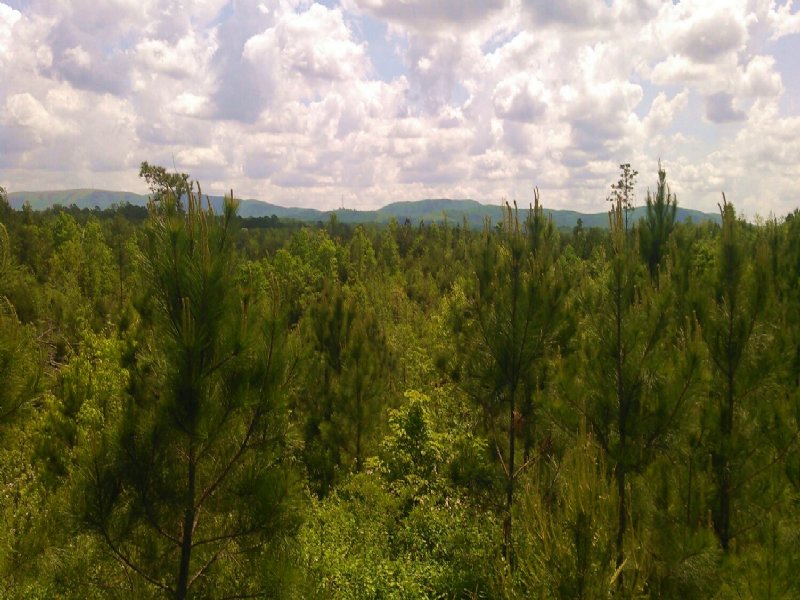 S B Tract 9552 : Adairsville : Bartow County : Georgia