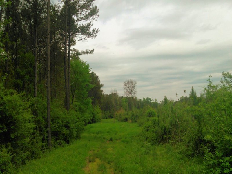 S B Tract 9601 Farm for Sale in Plainville, Gordon County,