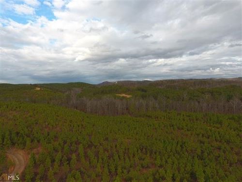 93.24 Ac Mount Pleasant Tract 9554 : Fairmount : Bartow County : Georgia