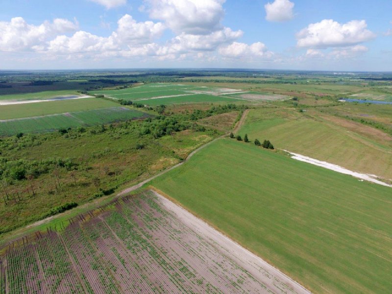 Pacific Company Farmland : Myakka City : Manatee County : Florida