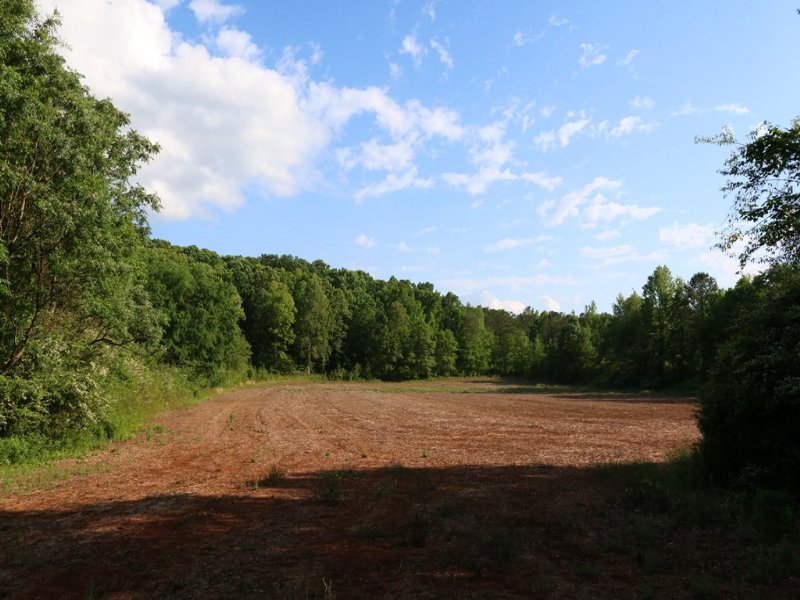 83+/- Acres Farm & Hunting Land : Sylacauga : Talladega County : Alabama